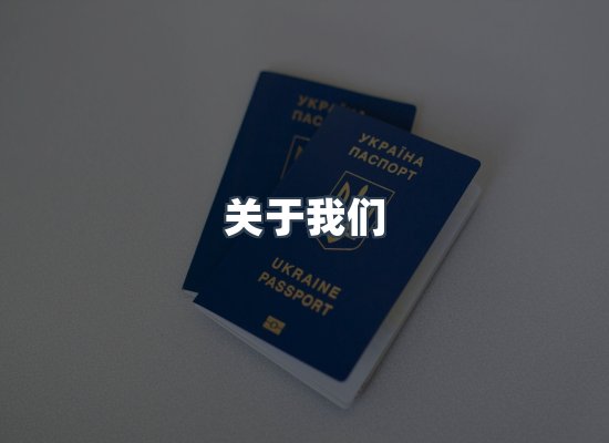 专业团队